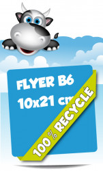 Flyer B6 10x21 cm